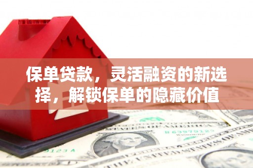 罗平保单贷款，灵活融资的新选择，解锁保单的隐藏价值
