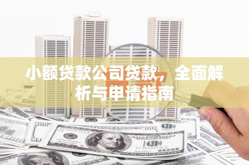 罗平小额贷款公司贷款，全面解析与申请指南