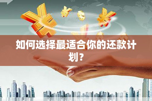 罗平如何选择最适合你的还款计划？