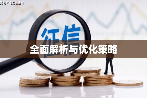 罗平全面解析与优化策略