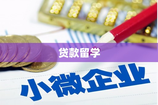 罗平贷款留学