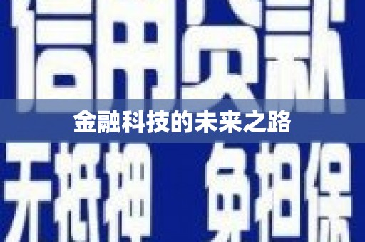 罗平金融科技的未来之路