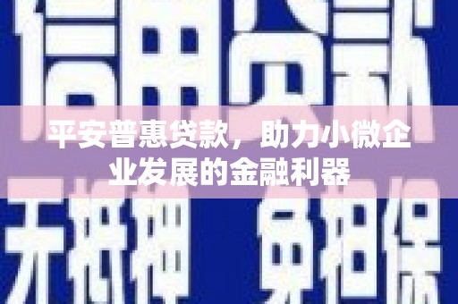 罗平平安普惠贷款，助力小微企业发展的金融利器