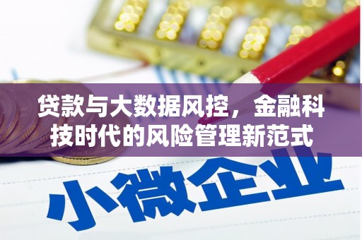 罗平贷款与大数据风控，金融科技时代的风险管理新范式