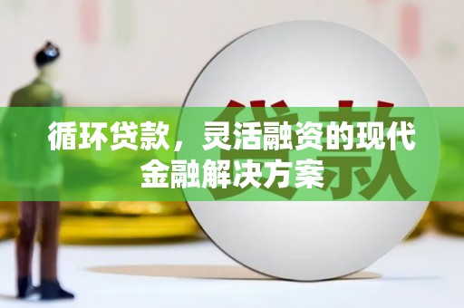 罗平循环贷款，灵活融资的现代金融解决方案