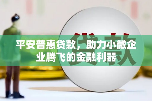 罗平平安普惠贷款，助力小微企业腾飞的金融利器