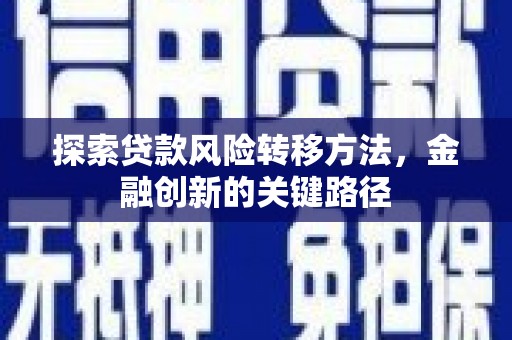 罗平探索贷款风险转移方法，金融创新的关键路径