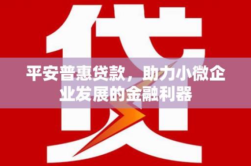 罗平平安普惠贷款，助力小微企业发展的金融利器