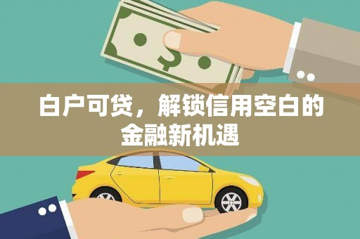 罗平白户可贷，解锁信用空白的金融新机遇