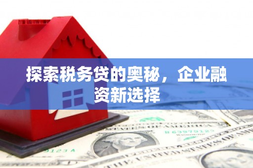 罗平探索税务贷的奥秘，企业融资新选择