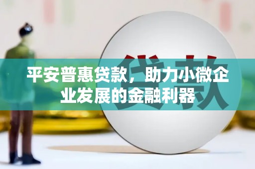 罗平平安普惠贷款，助力小微企业发展的金融利器