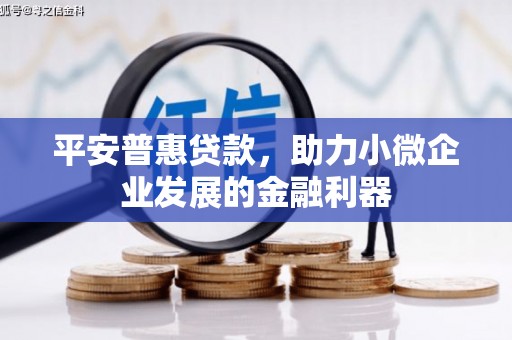 罗平平安普惠贷款，助力小微企业发展的金融利器