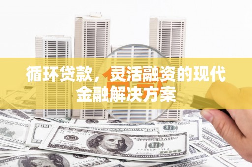 罗平循环贷款，灵活融资的现代金融解决方案