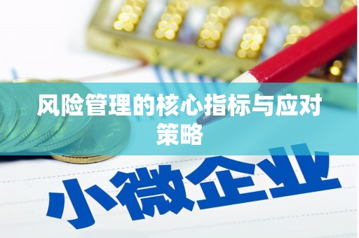 罗平风险管理的核心指标与应对策略