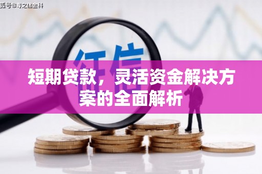 罗平短期贷款，灵活资金解决方案的全面解析