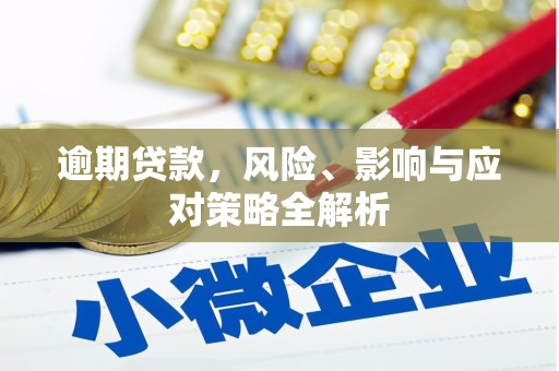 罗平逾期贷款，风险、影响与应对策略全解析