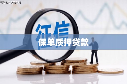 罗平保单质押贷款
