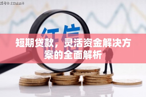 罗平短期贷款，灵活资金解决方案的全面解析