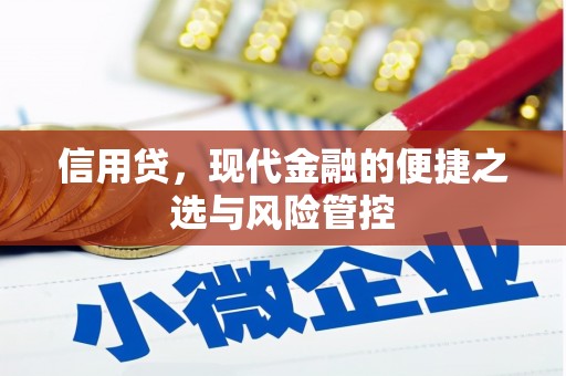罗平信用贷，现代金融的便捷之选与风险管控