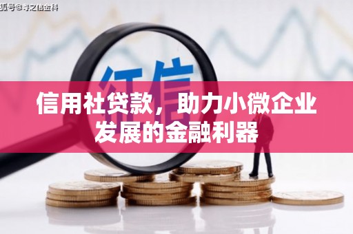 罗平信用社贷款，助力小微企业发展的金融利器
