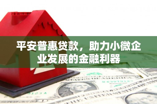 罗平平安普惠贷款，助力小微企业发展的金融利器