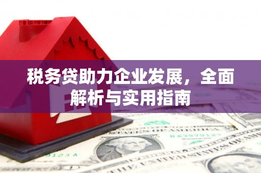 罗平税务贷助力企业发展，全面解析与实用指南