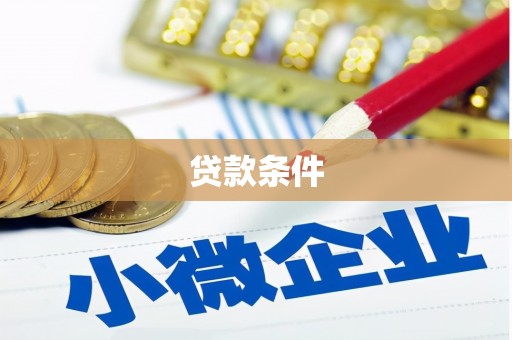 罗平贷款条件