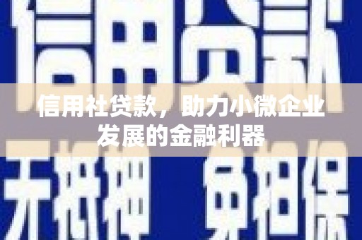 罗平信用社贷款，助力小微企业发展的金融利器