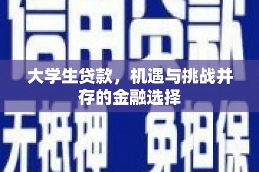 罗平大学生贷款，机遇与挑战并存的金融选择