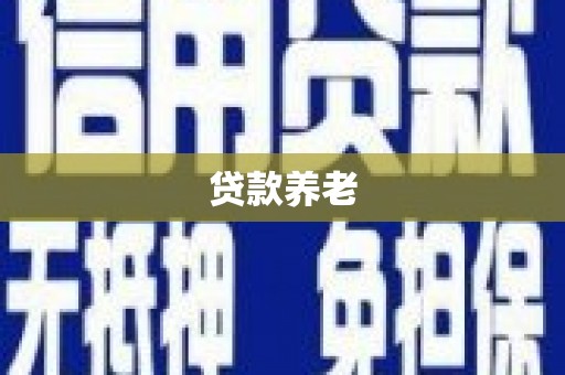 罗平贷款养老