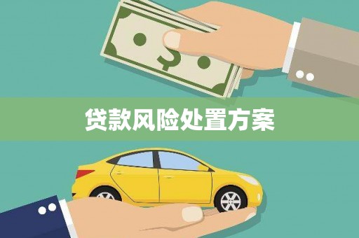 罗平贷款风险处置方案
