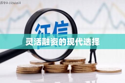 罗平灵活融资的现代选择