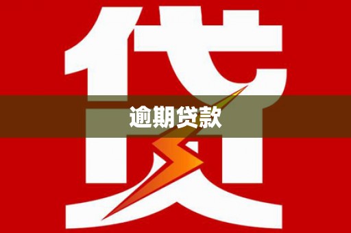 罗平逾期贷款